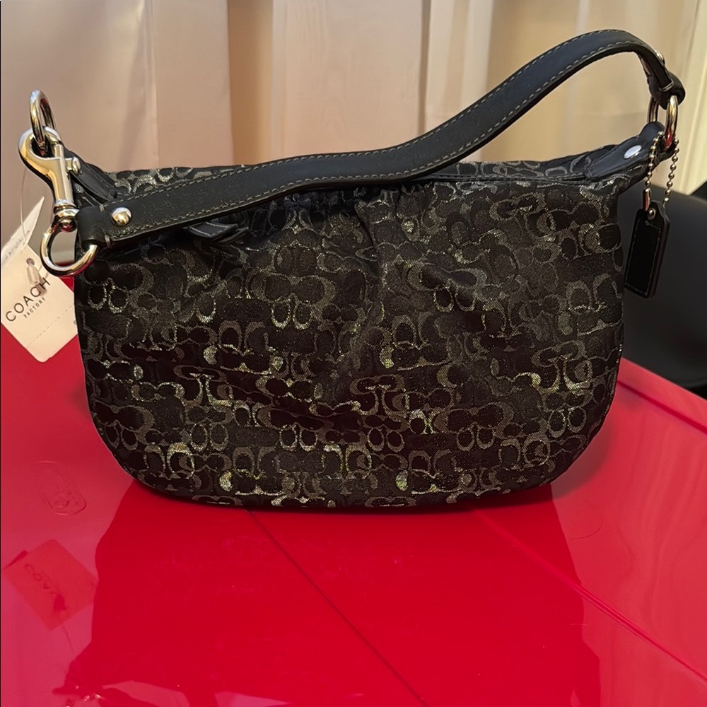 Coach Black Bag pouch